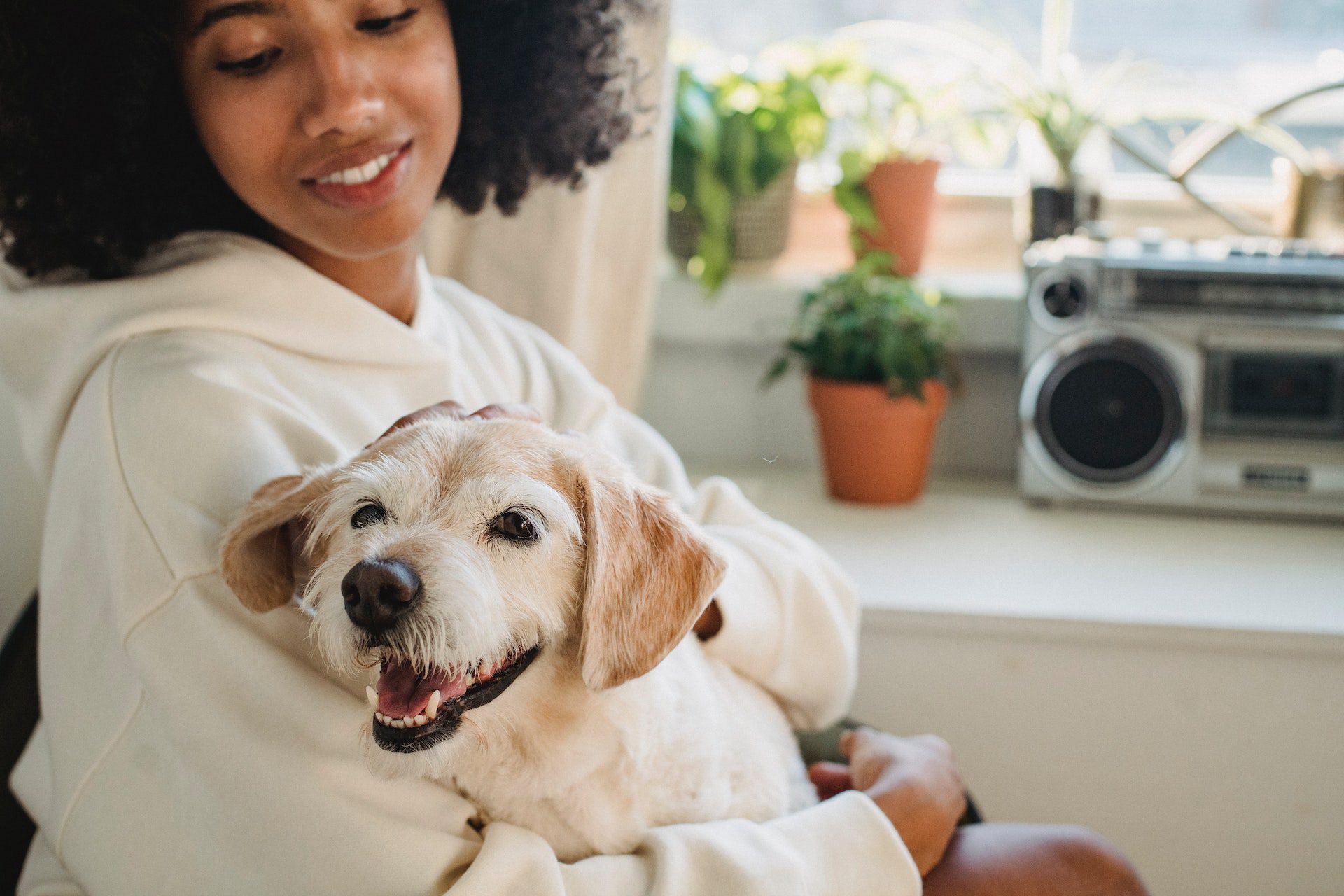 Crop woman hugging cute dog in room